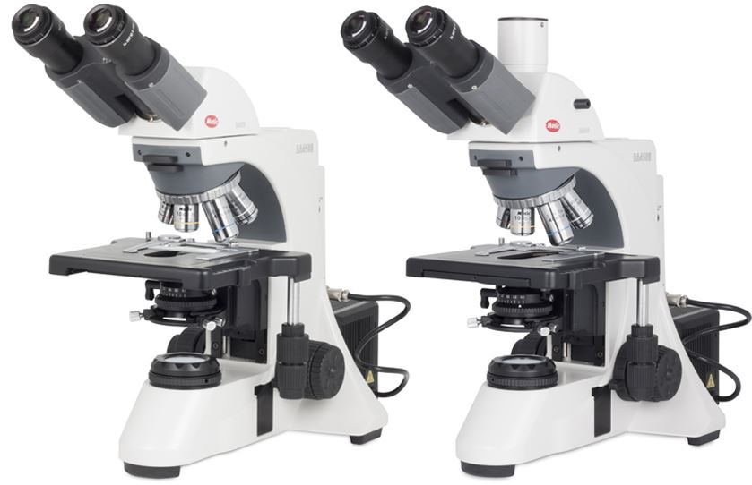 light microscope