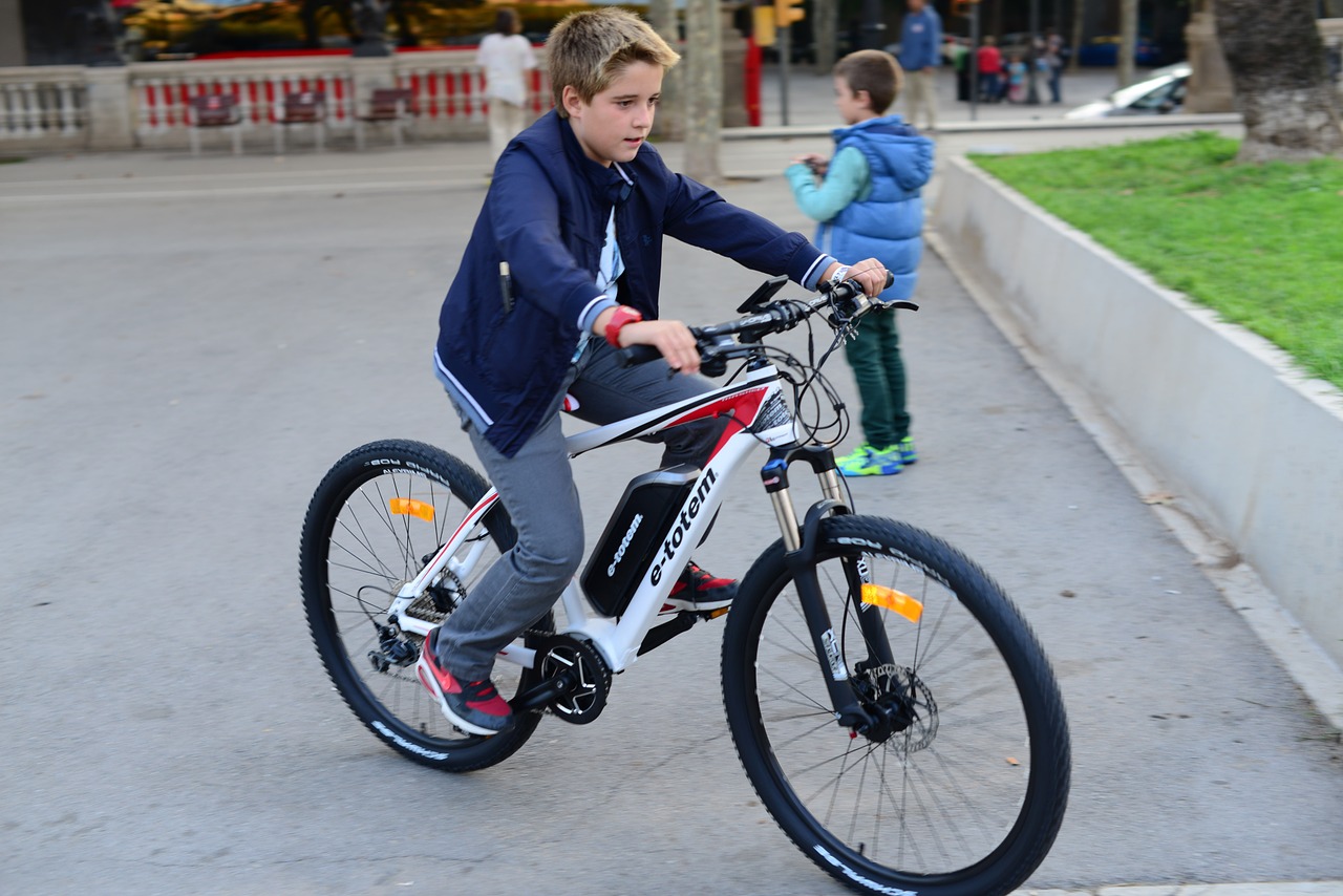 Top Reasons Why You Need an Electric Bike post thumbnail image